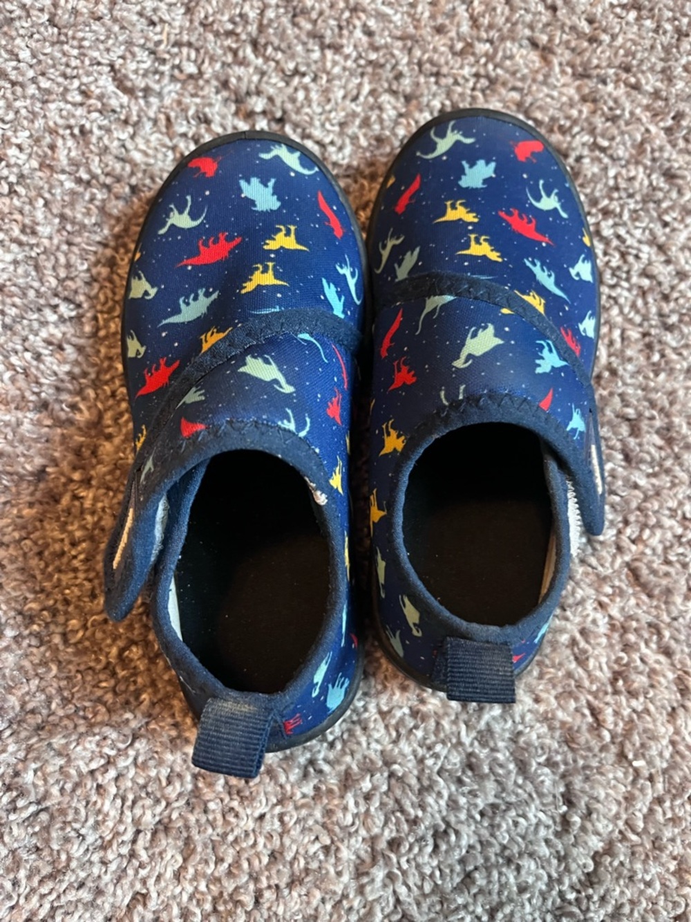 Toddler dino swim shoes